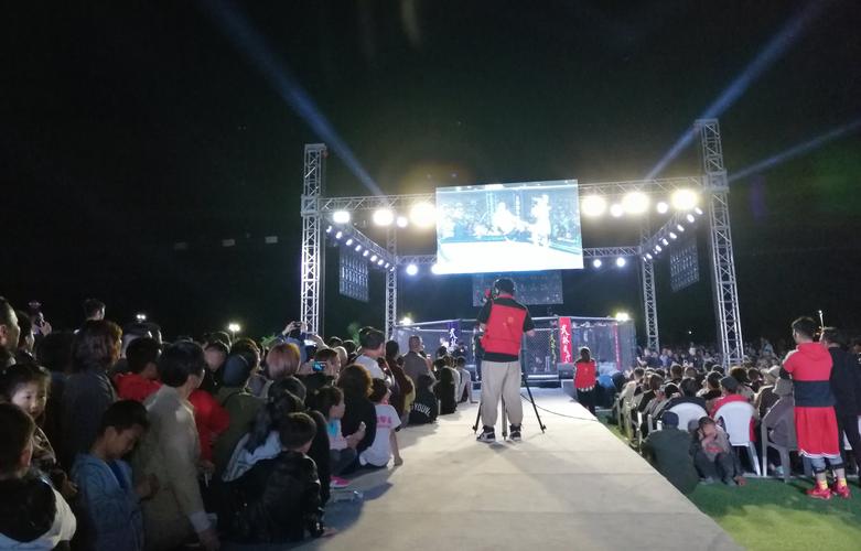 上海笼斗士文化传媒 自有媒体矩阵驱动广告发布的创新路径